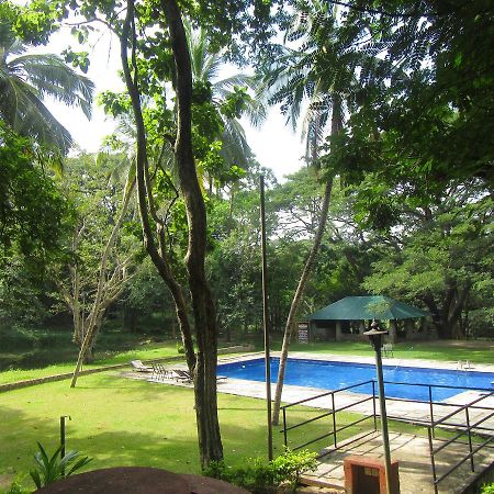 Hotel Dambulu Oya Family Park Dambulla Exterior foto